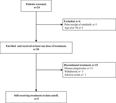 Safety and Efficacy of Sintilimab and Anlotinib as First Line Treatment for Advanced Hepatocellular Carcinoma (KEEP-G04): A Single-Arm Phase 2 Study